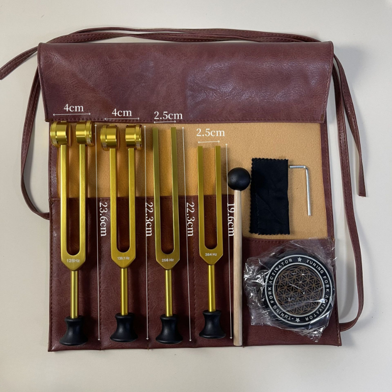 Set Garpu Tuning Medis untuk M - Musical Instrument Kit ulasan dan harga
