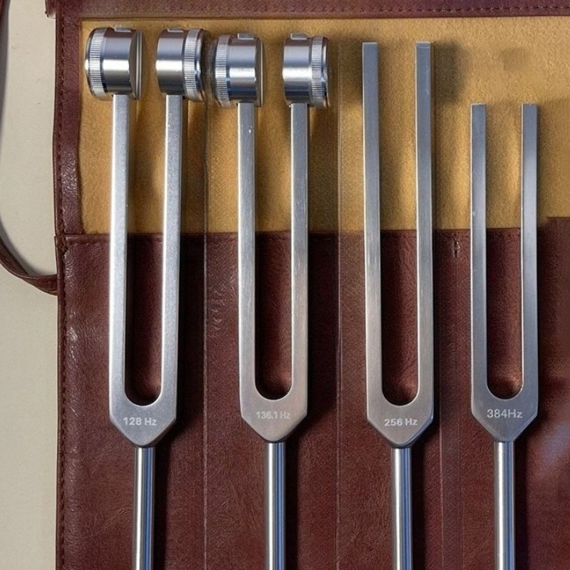 Set Garpu Tuning Medis untuk M - Musical Instrument Kit ulasan dan harga