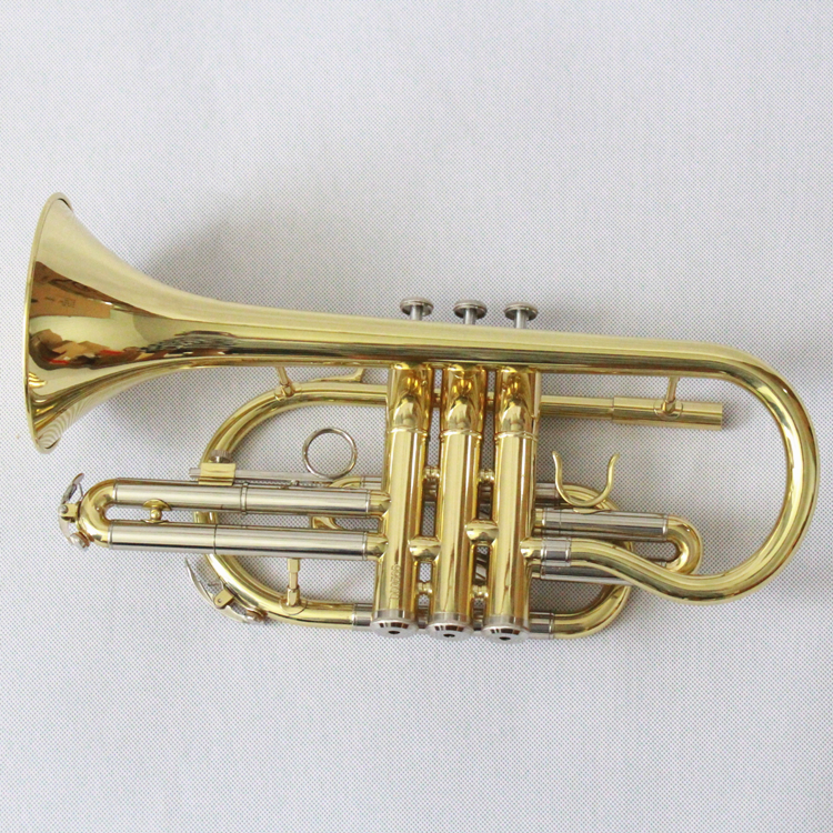 Cornet B Flat Cornet Alat Musi - Musical Instrument Cornet ulasan dan harga