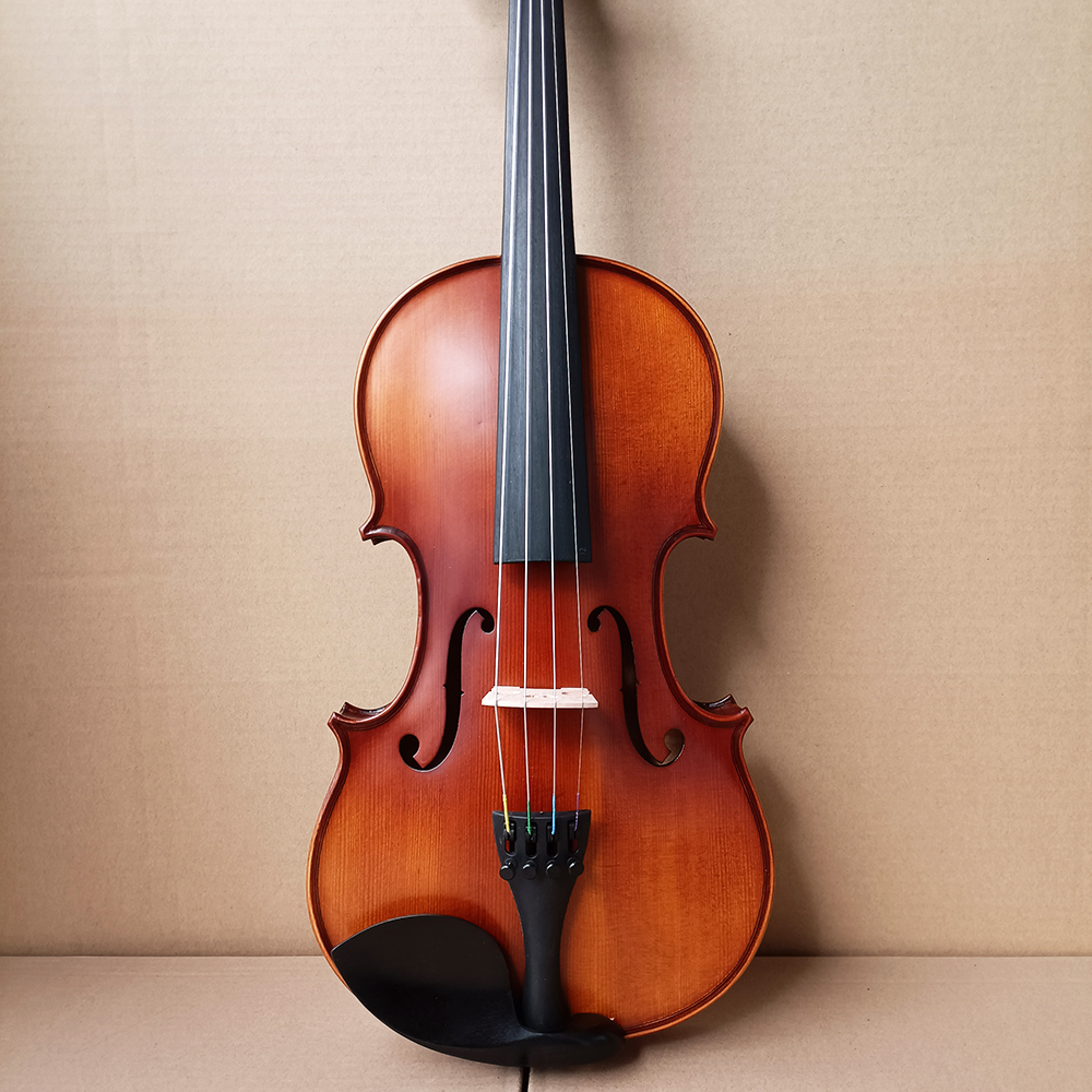 Biola buatan tangan Rich Strip - Musical Instrument Veena ulasan dan harga