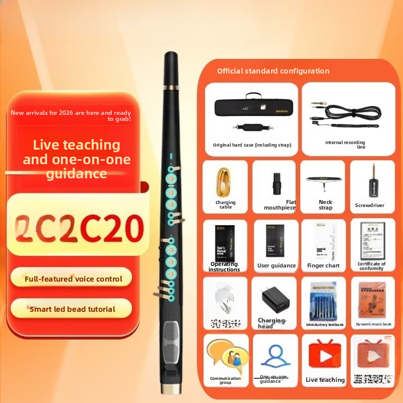 C20 instrumen musik elektrik c - Musical Instrument You Blow Into ulasan dan harga