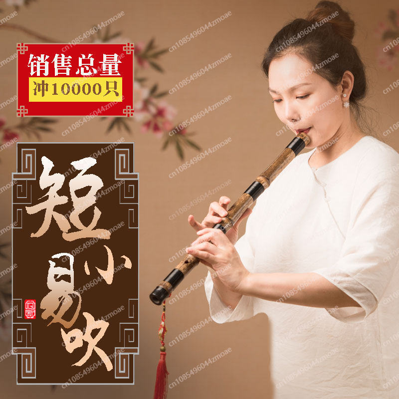Seruling bambu Xiao pendek pro - Musical Instrument You Blow Into ulasan dan harga