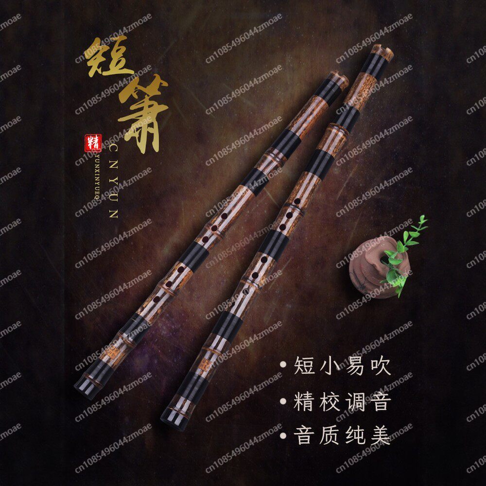 Seruling bambu Xiao pendek pro - Musical Instrument You Blow Into ulasan dan harga