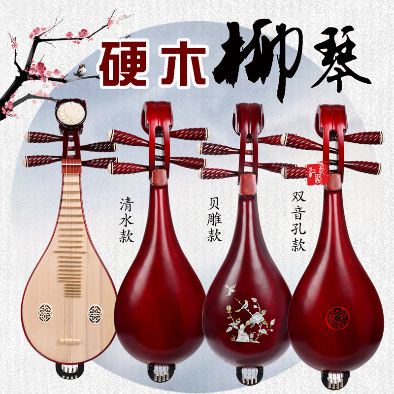 Performa Profesional & Ujian K - Musical Instrument With A ulasan dan harga