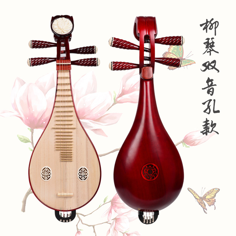 Performa Profesional & Ujian K - Musical Instrument With A ulasan dan harga